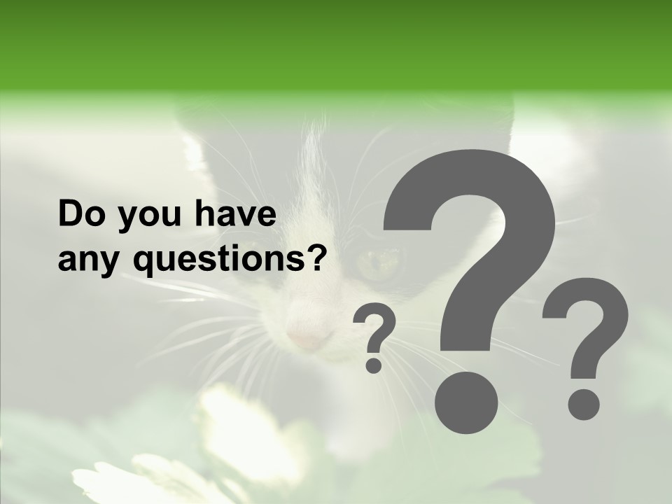 Humorou Li Ten Human PowerPoint Template