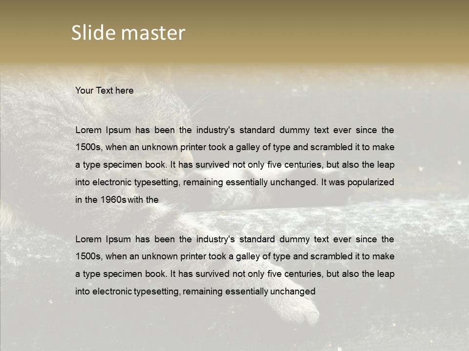 Down Sleep Domestic PowerPoint Template