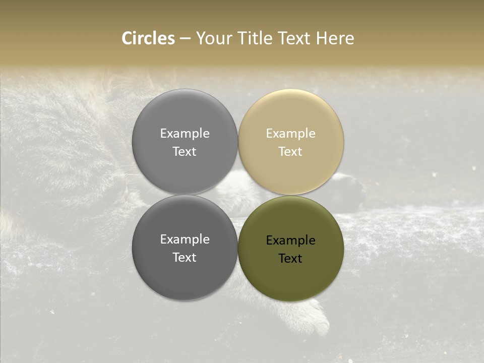 Down Sleep Domestic PowerPoint Template