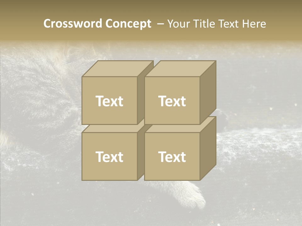 Down Sleep Domestic PowerPoint Template