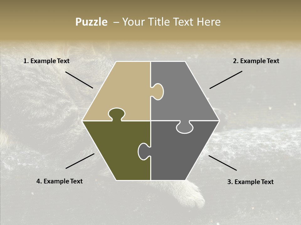 Down Sleep Domestic PowerPoint Template