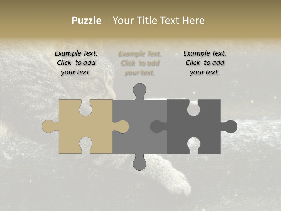 Down Sleep Domestic PowerPoint Template