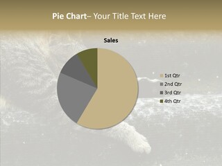 Down Sleep Domestic PowerPoint Template