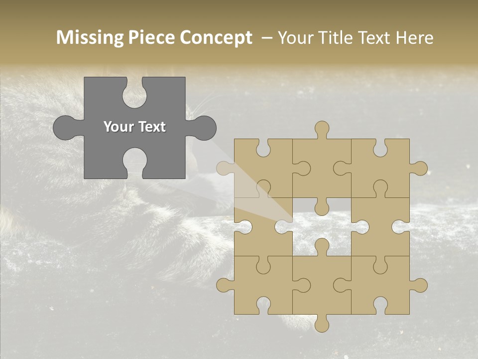 Down Sleep Domestic PowerPoint Template