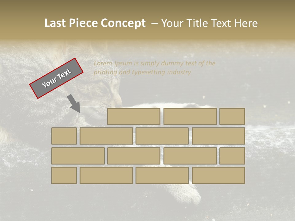Down Sleep Domestic PowerPoint Template