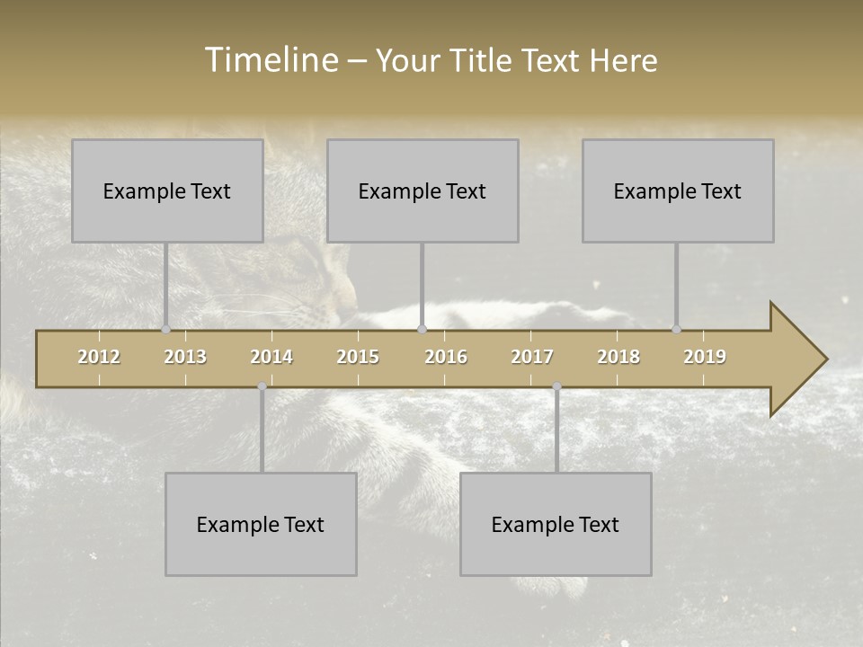 Down Sleep Domestic PowerPoint Template