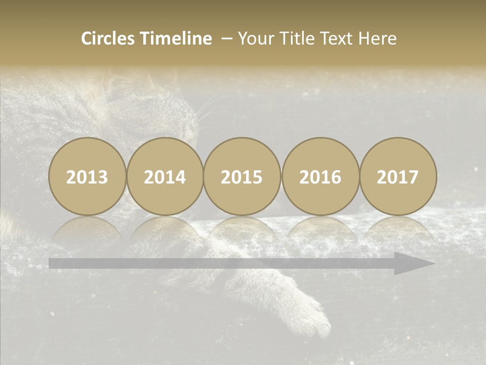 Down Sleep Domestic PowerPoint Template