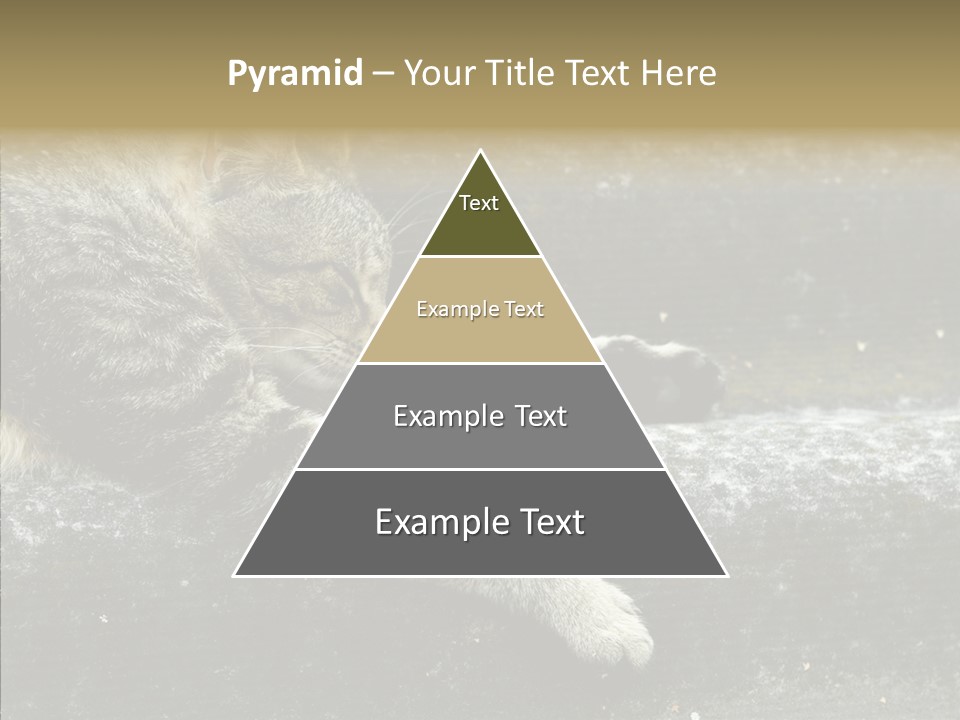 Down Sleep Domestic PowerPoint Template