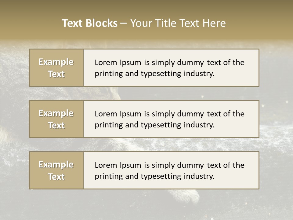 Down Sleep Domestic PowerPoint Template