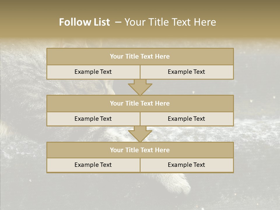 Down Sleep Domestic PowerPoint Template