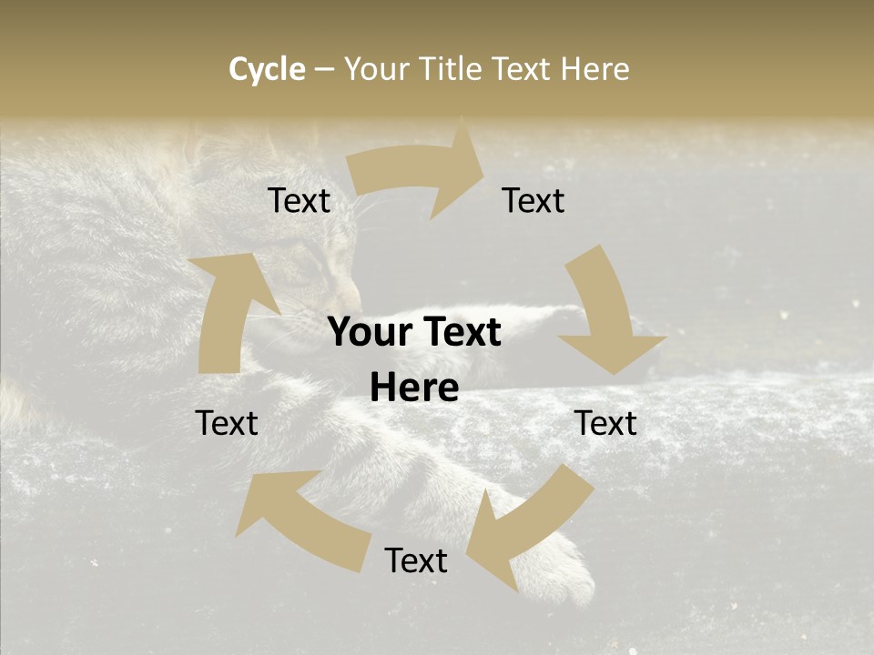 Down Sleep Domestic PowerPoint Template
