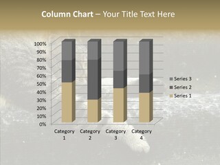 Down Sleep Domestic PowerPoint Template