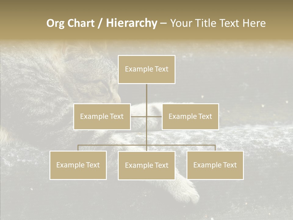 Down Sleep Domestic PowerPoint Template