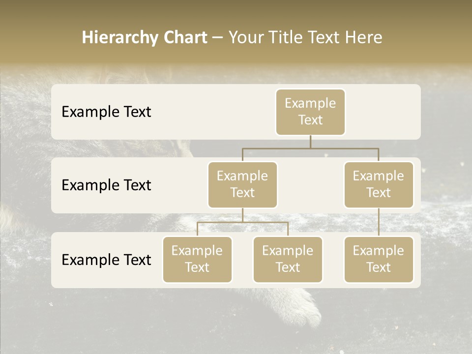 Down Sleep Domestic PowerPoint Template