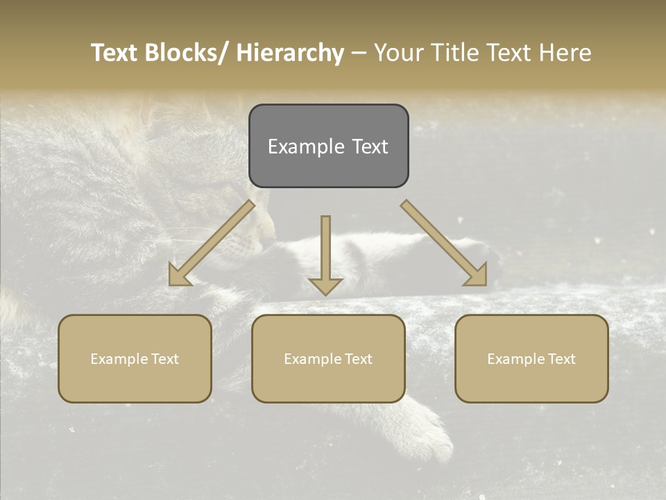 Down Sleep Domestic PowerPoint Template