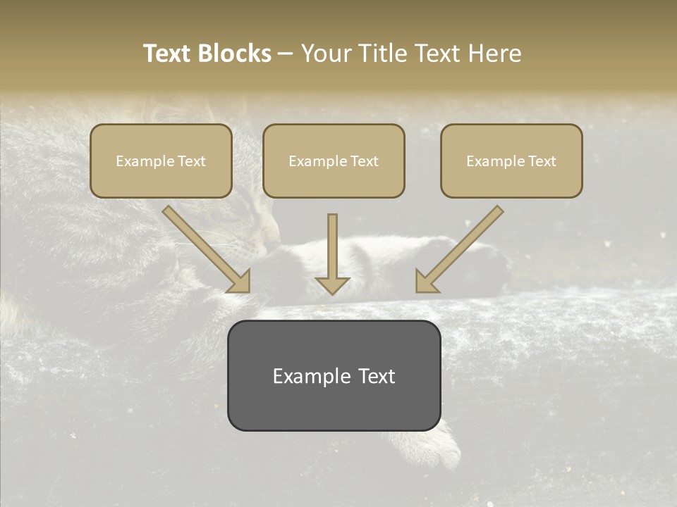 Down Sleep Domestic PowerPoint Template
