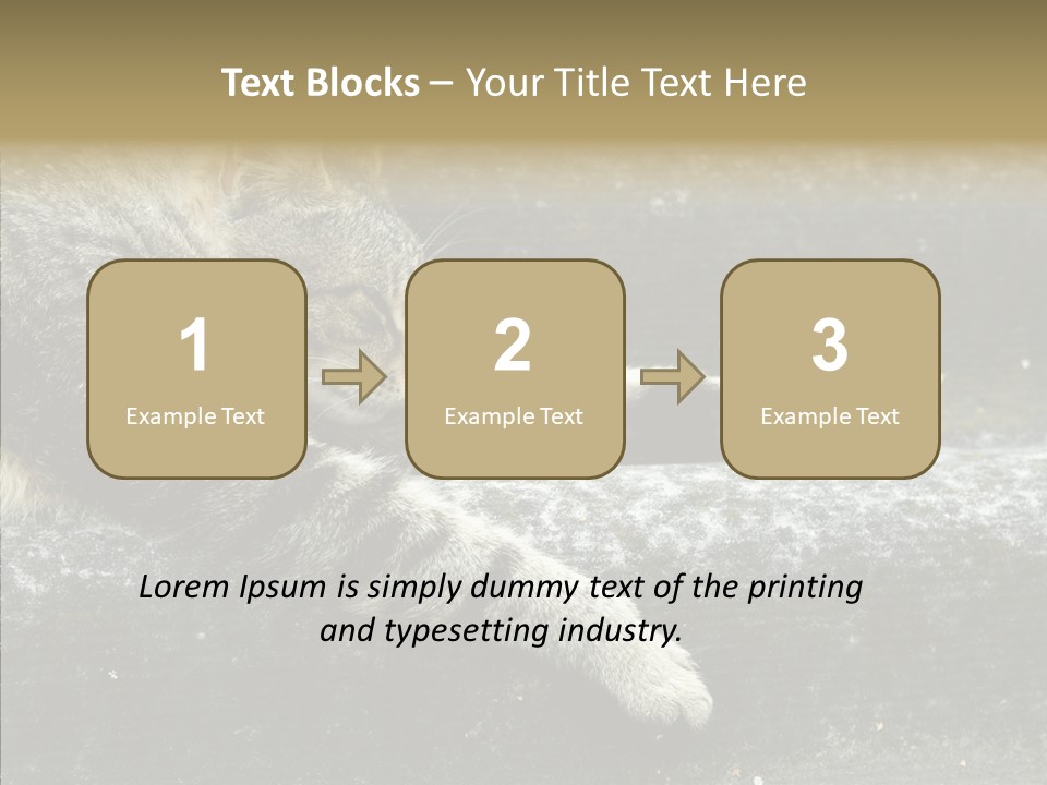 Down Sleep Domestic PowerPoint Template