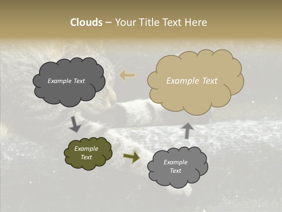 Down Sleep Domestic PowerPoint Template