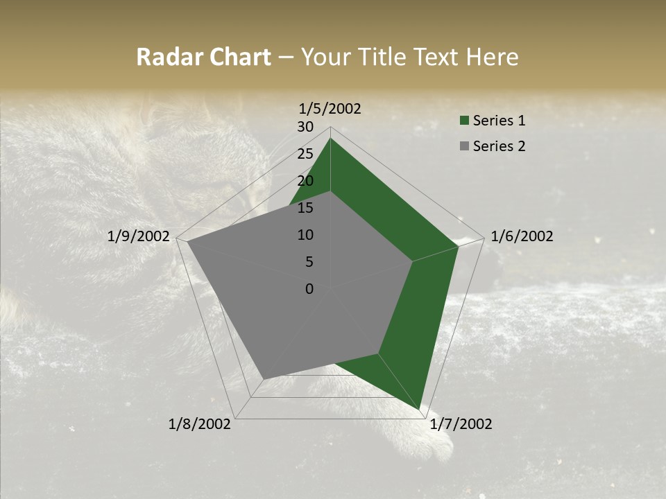 Down Sleep Domestic PowerPoint Template