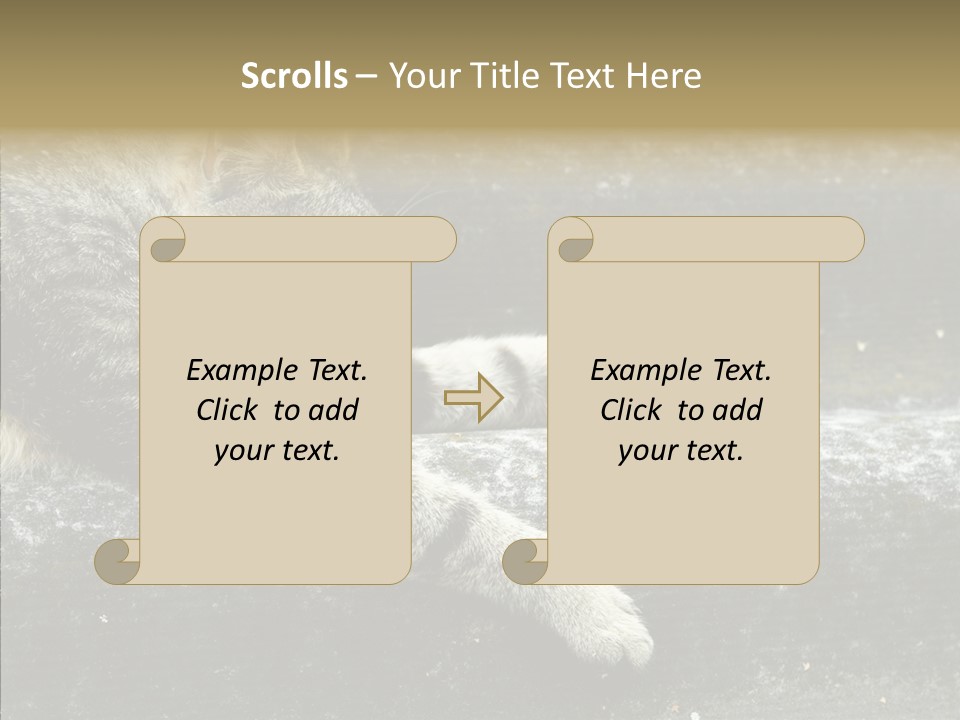 Down Sleep Domestic PowerPoint Template