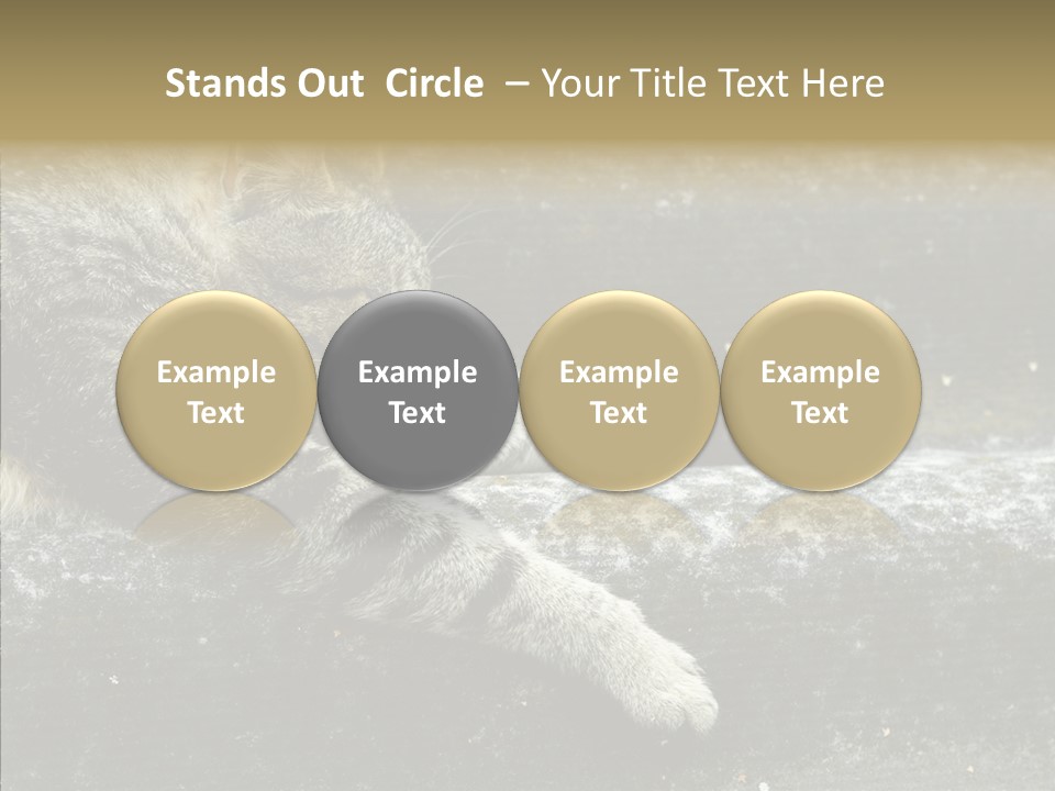 Down Sleep Domestic PowerPoint Template