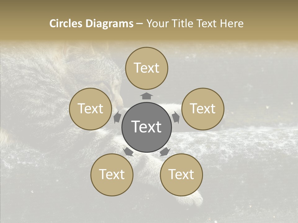 Down Sleep Domestic PowerPoint Template