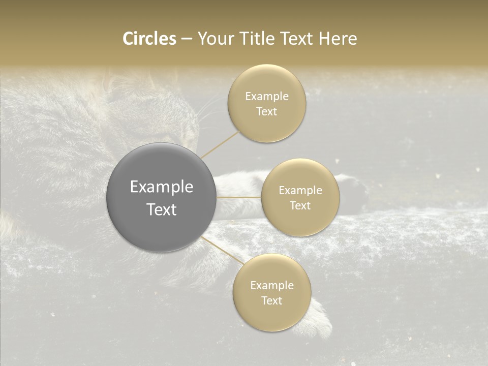 Down Sleep Domestic PowerPoint Template