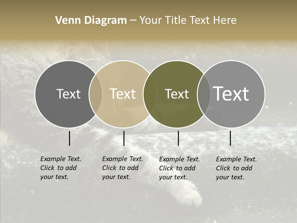Down Sleep Domestic PowerPoint Template