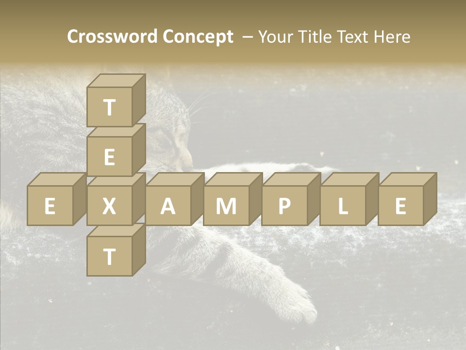 Down Sleep Domestic PowerPoint Template