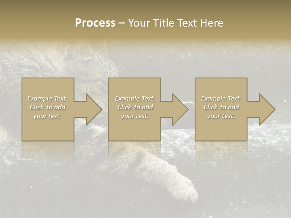 Down Sleep Domestic PowerPoint Template