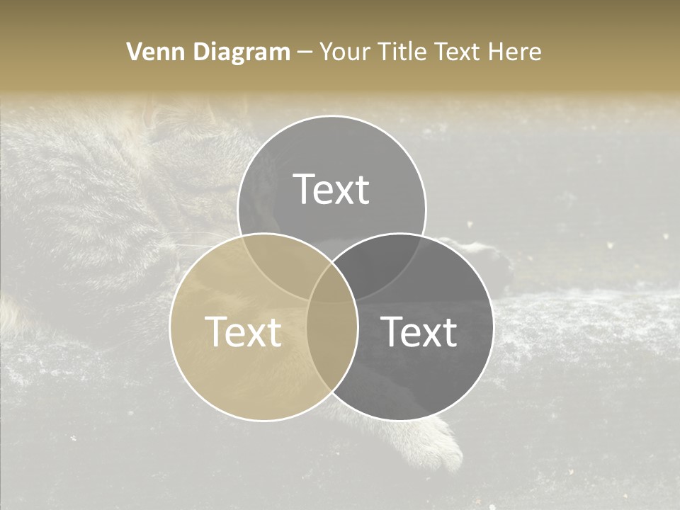 Down Sleep Domestic PowerPoint Template