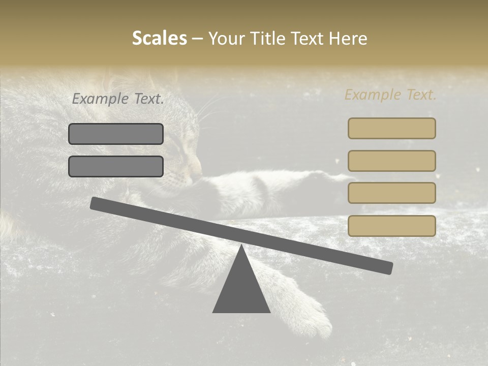 Down Sleep Domestic PowerPoint Template