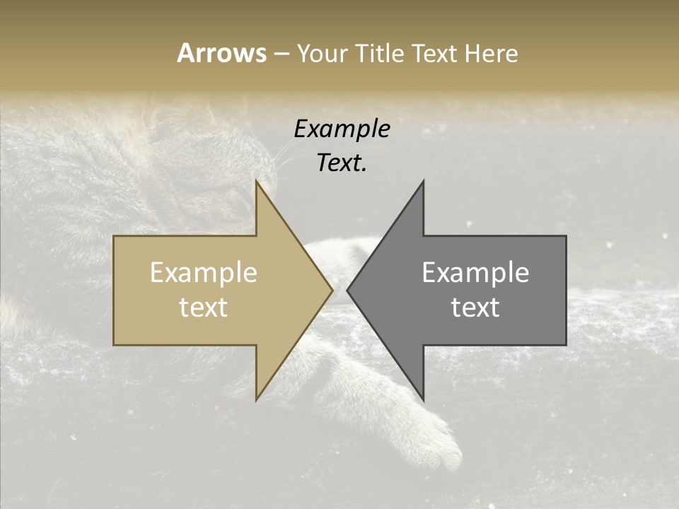 Down Sleep Domestic PowerPoint Template