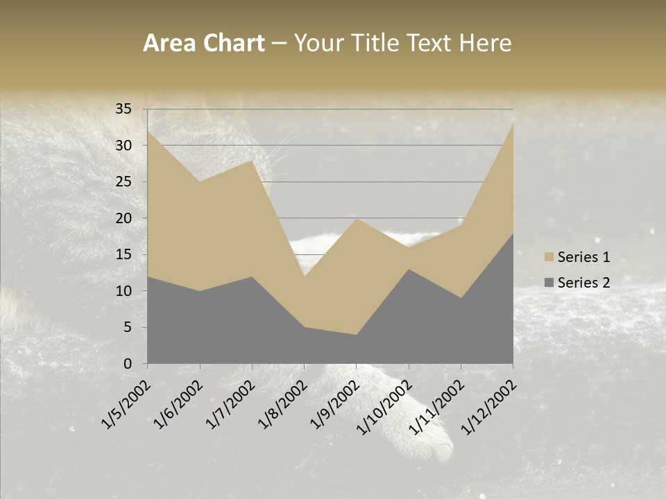 Down Sleep Domestic PowerPoint Template