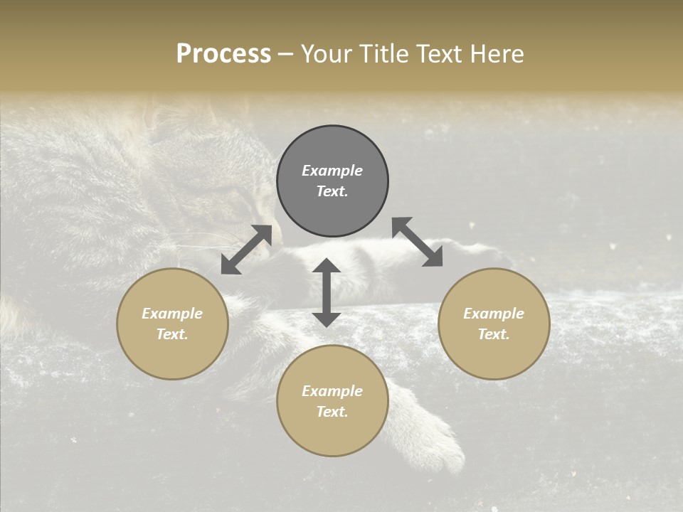 Down Sleep Domestic PowerPoint Template