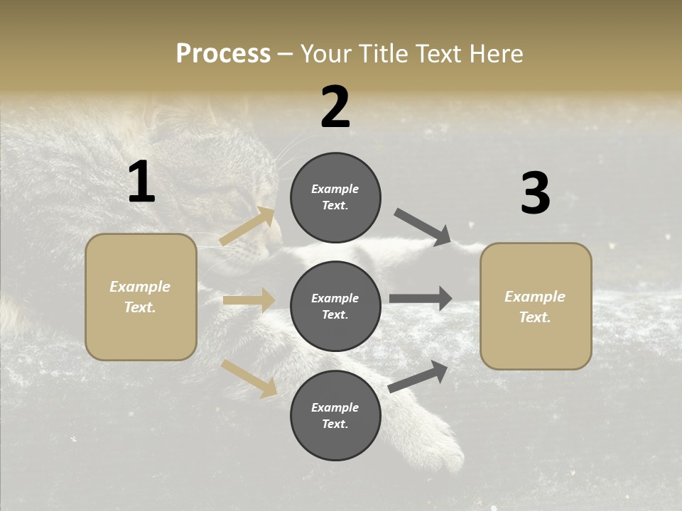 Down Sleep Domestic PowerPoint Template