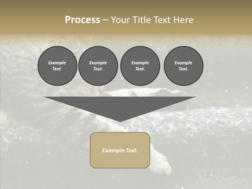 Down Sleep Domestic PowerPoint Template
