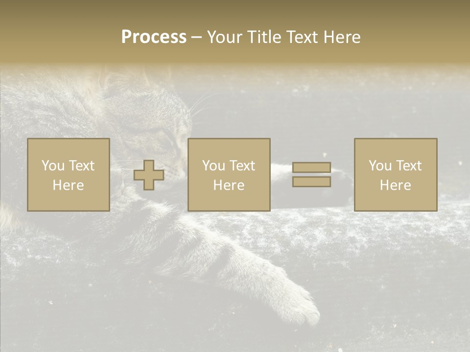 Down Sleep Domestic PowerPoint Template
