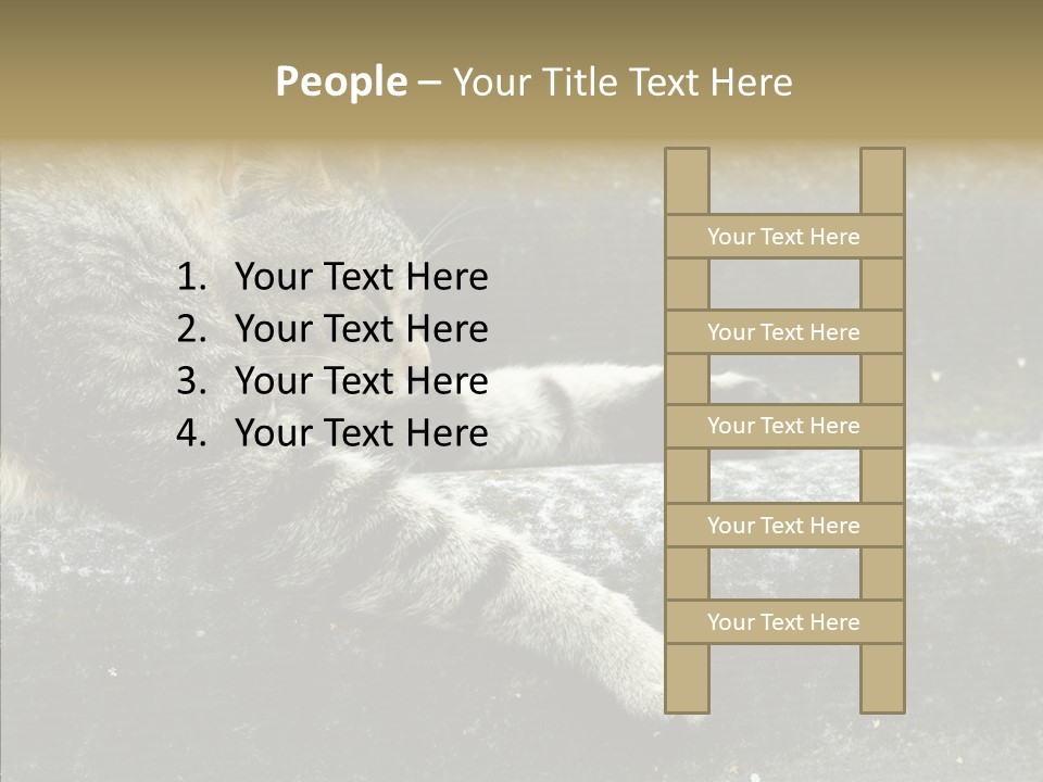 Down Sleep Domestic PowerPoint Template