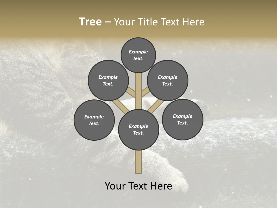 Down Sleep Domestic PowerPoint Template