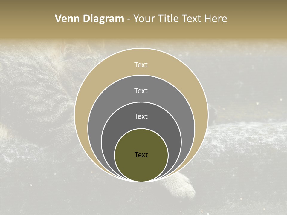 Down Sleep Domestic PowerPoint Template