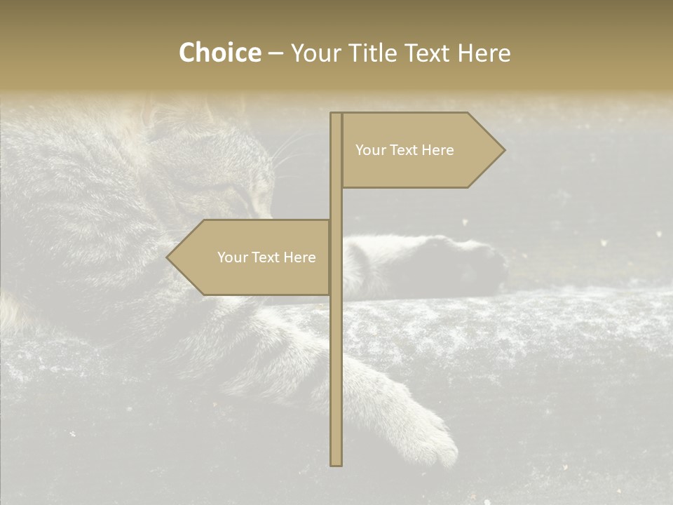 Down Sleep Domestic PowerPoint Template
