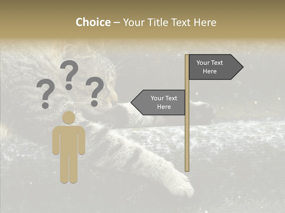 Down Sleep Domestic PowerPoint Template