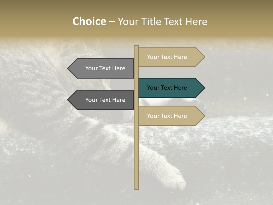 Down Sleep Domestic PowerPoint Template