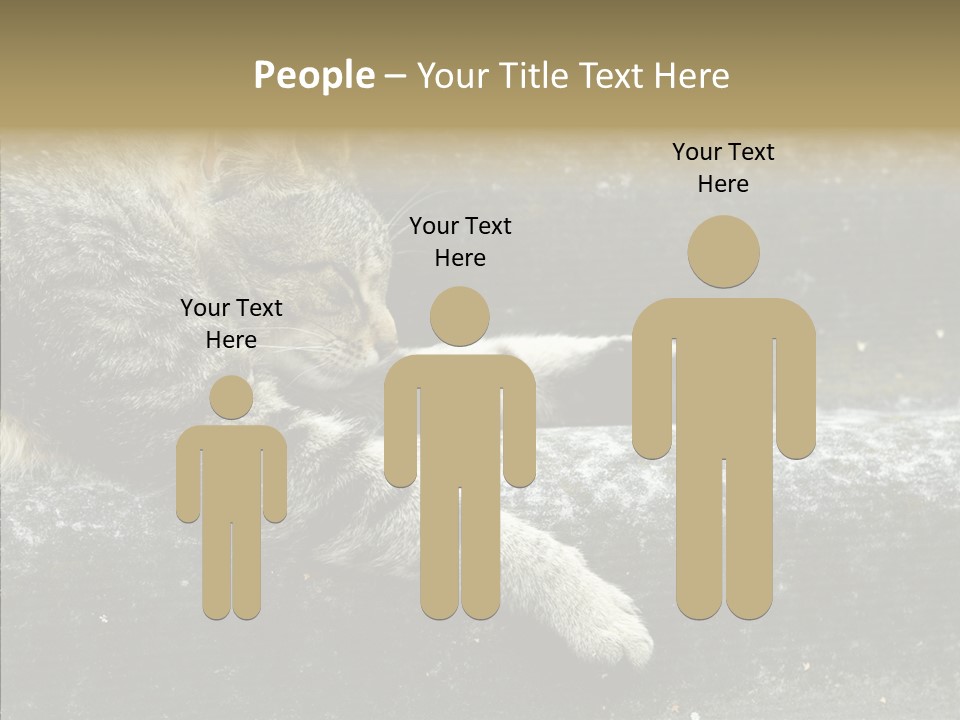 Down Sleep Domestic PowerPoint Template