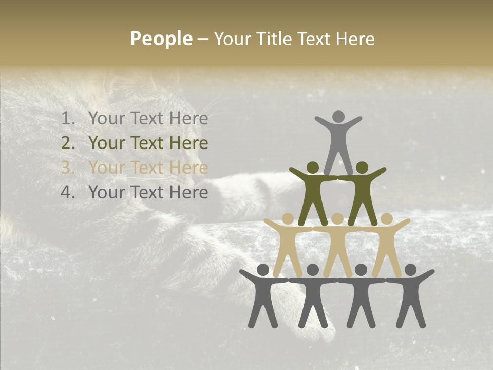 Down Sleep Domestic PowerPoint Template