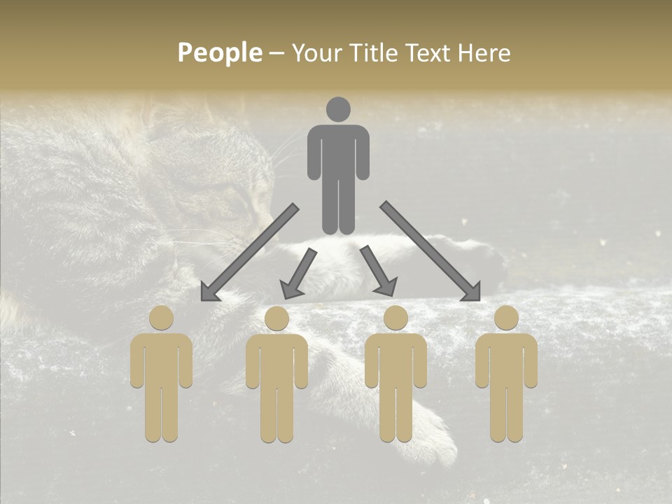 Down Sleep Domestic PowerPoint Template