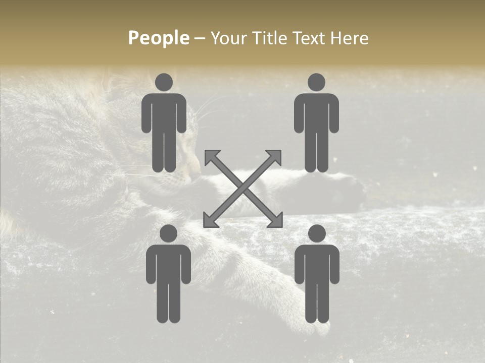 Down Sleep Domestic PowerPoint Template