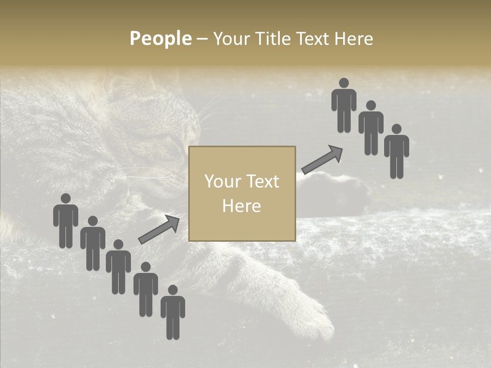 Down Sleep Domestic PowerPoint Template