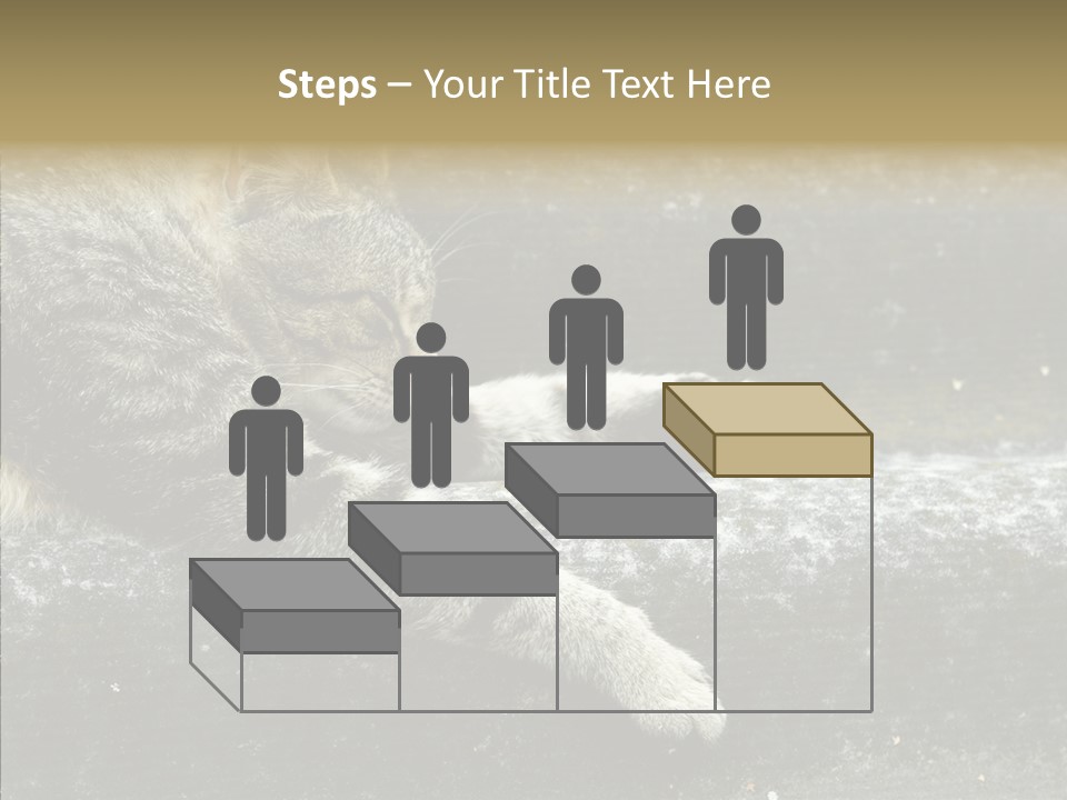 Down Sleep Domestic PowerPoint Template